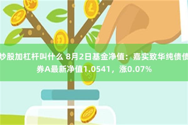 炒股加杠杆叫什么 8月2日基金净值：嘉实致华纯债债券A最新净值1.0541，涨0.07%