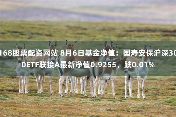 168股票配资网站 8月6日基金净值：国寿安保沪深300ETF联接A最新净值0.9255，跌0.01%