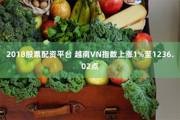 2018股票配资平台 越南VN指数上涨1%至1236.02点