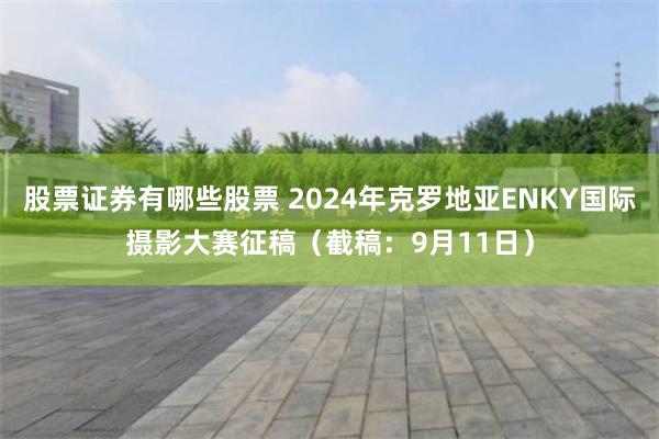 股票证券有哪些股票 2024年克罗地亚ENKY国际摄影大赛征稿（截稿：9月11日）