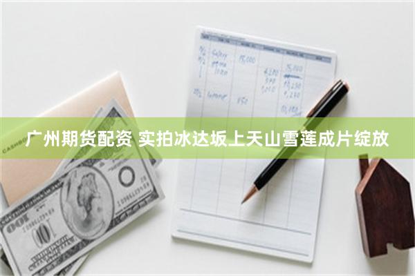 广州期货配资 实拍冰达坂上天山雪莲成片绽放