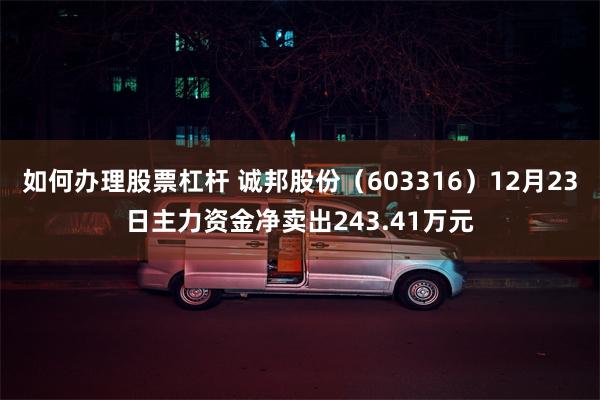 如何办理股票杠杆 诚邦股份（603316）12月23日主力资金净卖出243.41万元