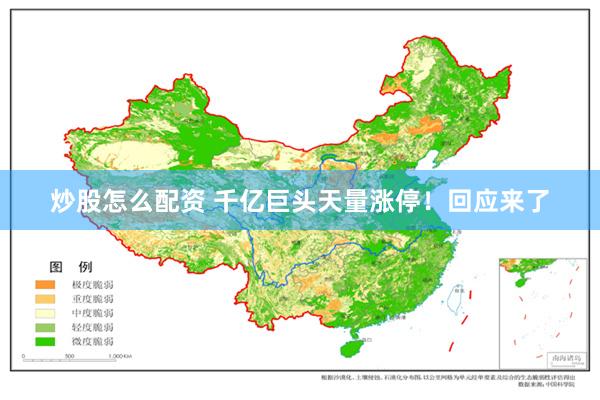 炒股怎么配资 千亿巨头天量涨停！回应来了