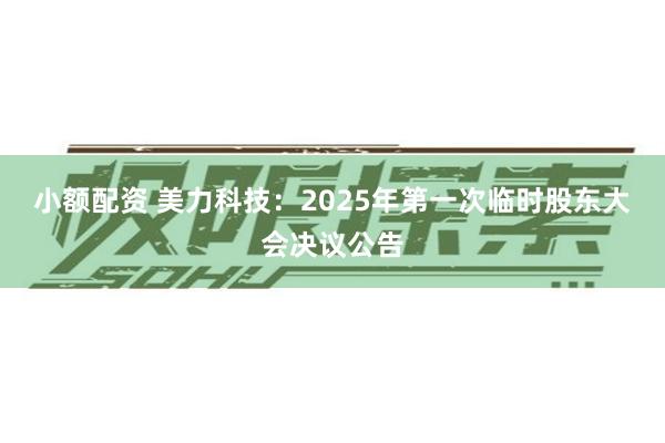 小额配资 美力科技：2025年第一次临时股东大会决议公告