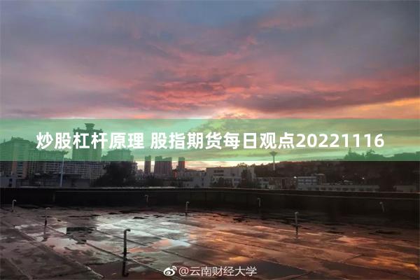 炒股杠杆原理 股指期货每日观点20221116